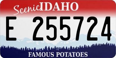 ID license plate E255724