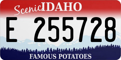 ID license plate E255728