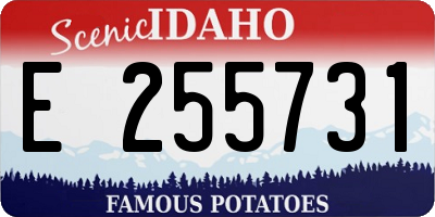 ID license plate E255731