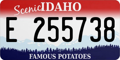 ID license plate E255738