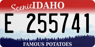 ID license plate E255741