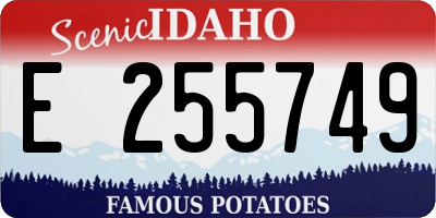 ID license plate E255749