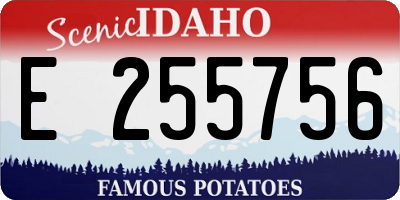 ID license plate E255756