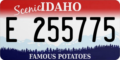 ID license plate E255775