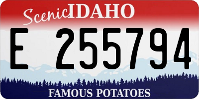 ID license plate E255794