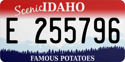 ID license plate E255796