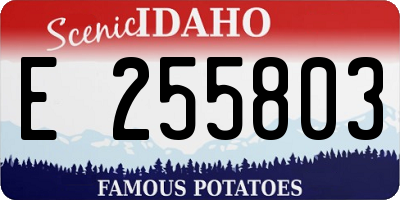 ID license plate E255803