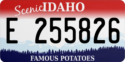 ID license plate E255826