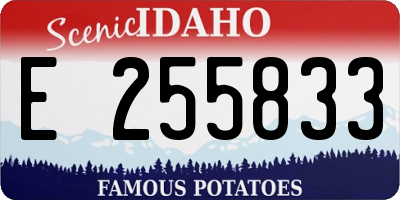 ID license plate E255833