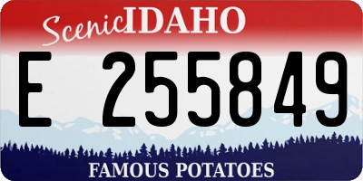 ID license plate E255849