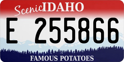 ID license plate E255866