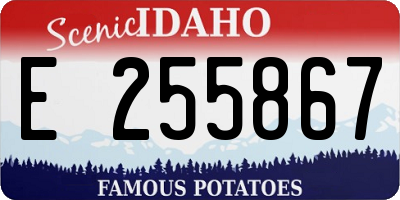 ID license plate E255867