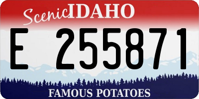 ID license plate E255871