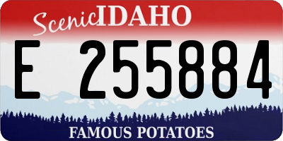 ID license plate E255884