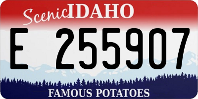 ID license plate E255907