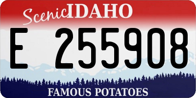 ID license plate E255908