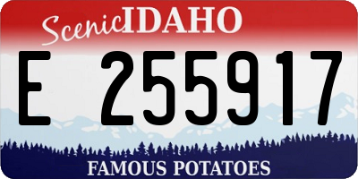ID license plate E255917