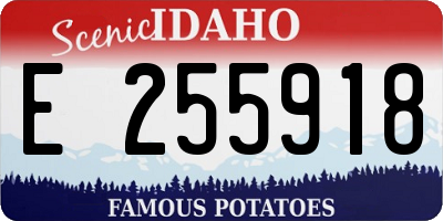 ID license plate E255918