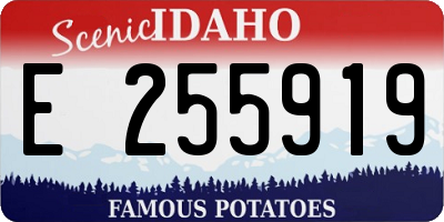 ID license plate E255919