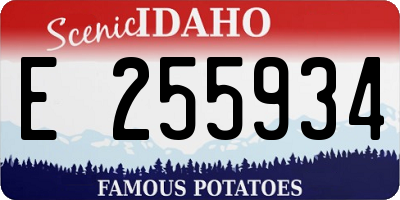 ID license plate E255934