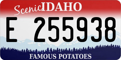 ID license plate E255938