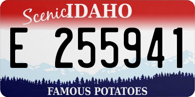 ID license plate E255941