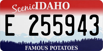 ID license plate E255943