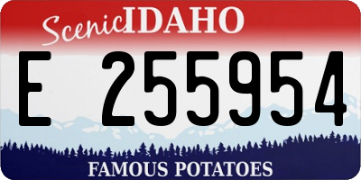 ID license plate E255954