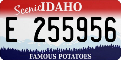 ID license plate E255956