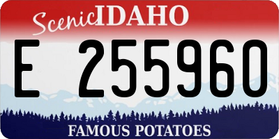 ID license plate E255960