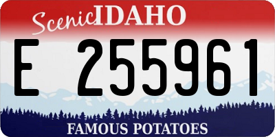 ID license plate E255961