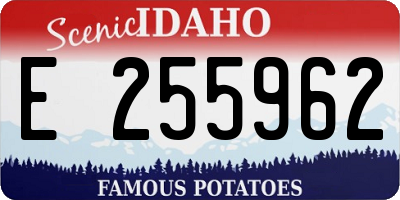 ID license plate E255962