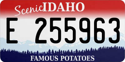 ID license plate E255963