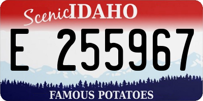 ID license plate E255967