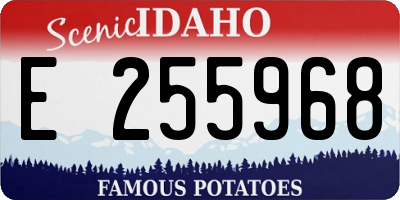 ID license plate E255968