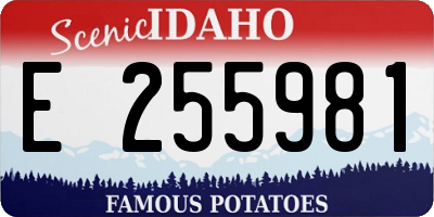 ID license plate E255981