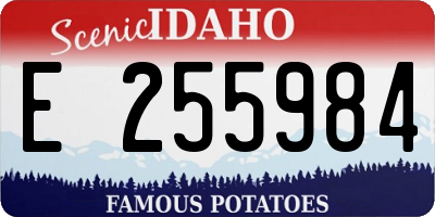 ID license plate E255984