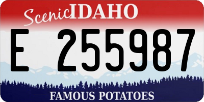 ID license plate E255987