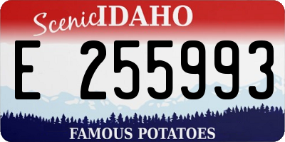 ID license plate E255993