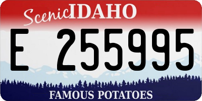 ID license plate E255995