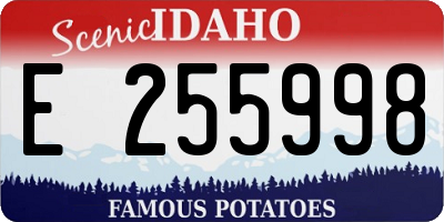 ID license plate E255998