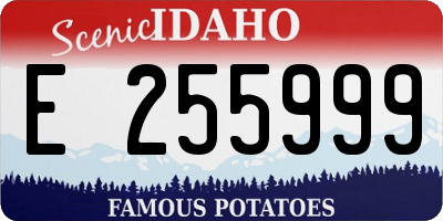 ID license plate E255999