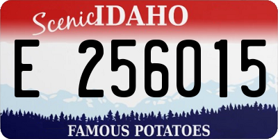 ID license plate E256015