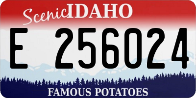 ID license plate E256024
