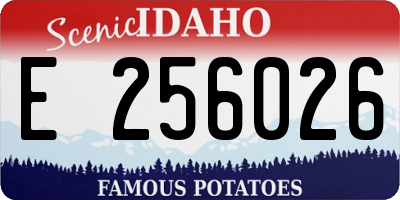 ID license plate E256026