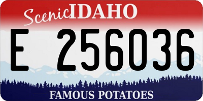ID license plate E256036