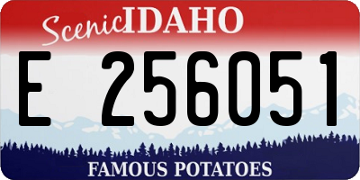ID license plate E256051