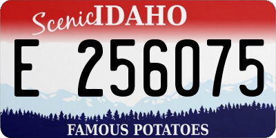ID license plate E256075