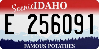 ID license plate E256091