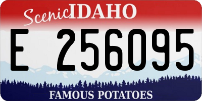 ID license plate E256095